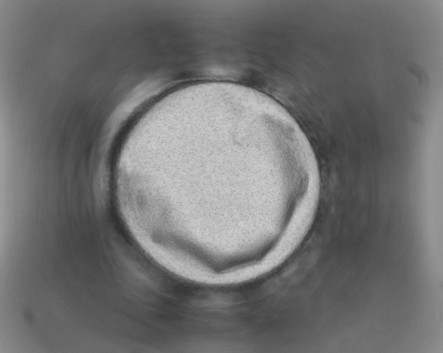 X0000113540343200910161417