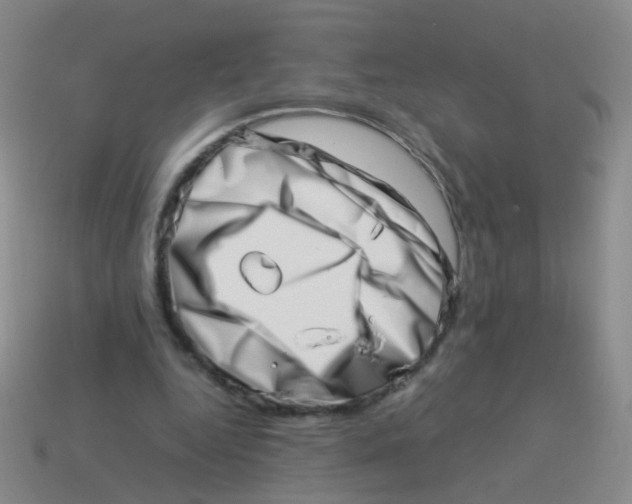 X0000113540344200910161417