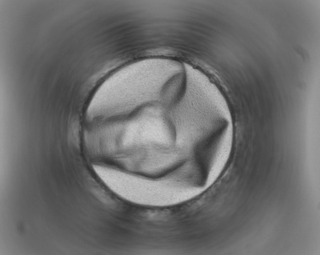 X0000113540345200910161417