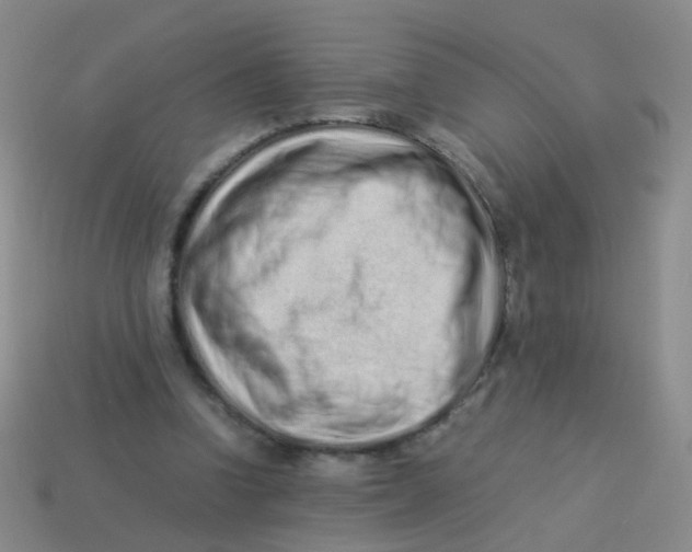 X0000113540346200910161417