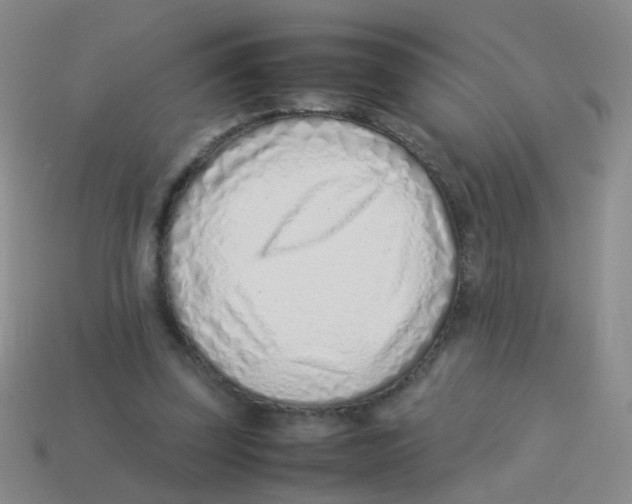 X0000113540347200910161417