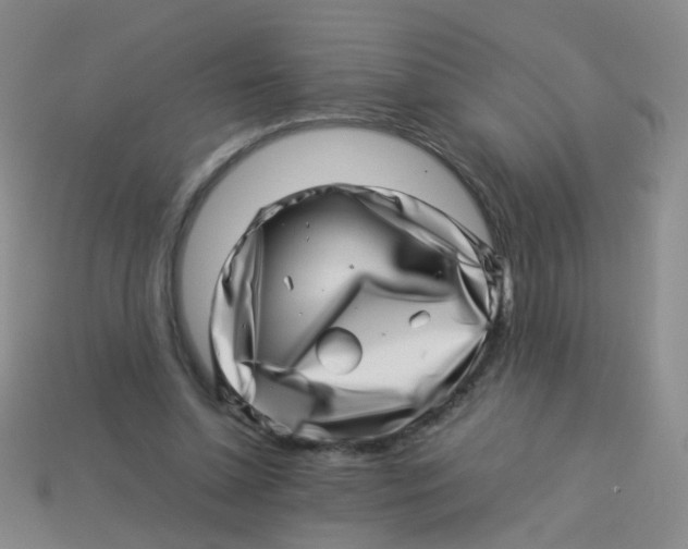 X0000113540348200910161417