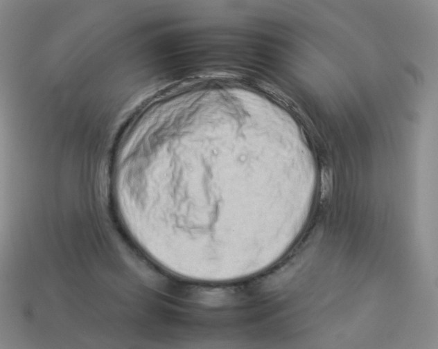 X0000113540349200910161417