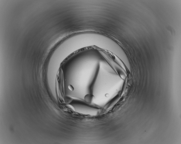 X0000113540350200910161417