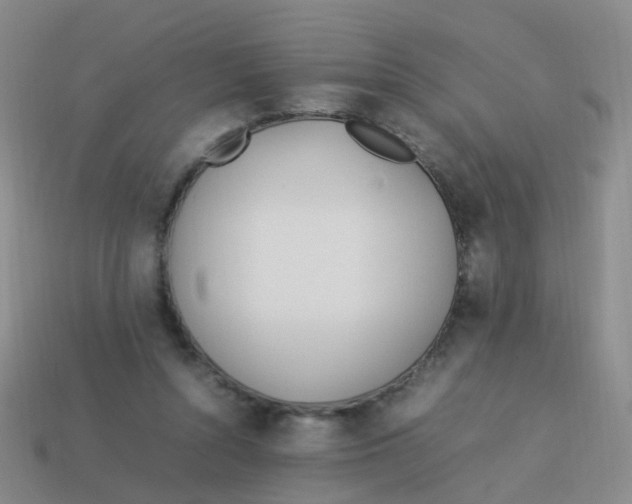 X0000113540352200910161417