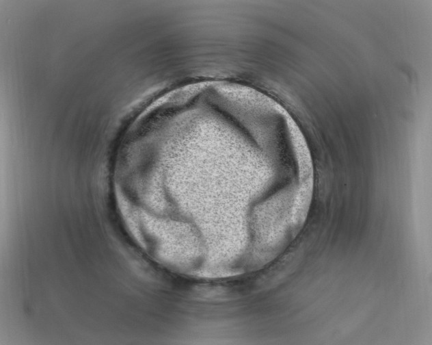 X0000113540354200910161417