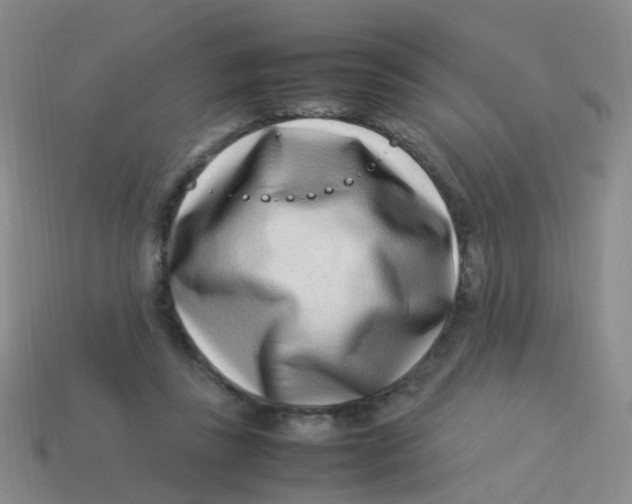 X0000113540355200910161417
