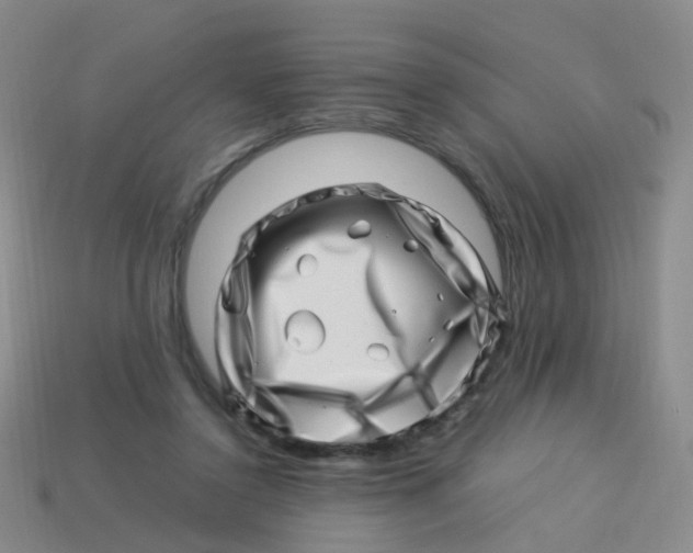 X0000113540356200910161417