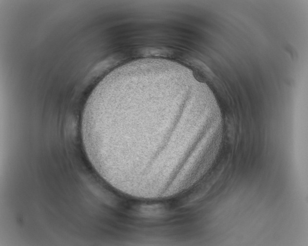 X0000113540357200910161417