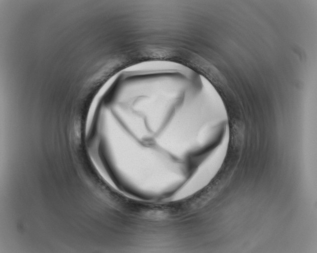 X0000113540358200910161417
