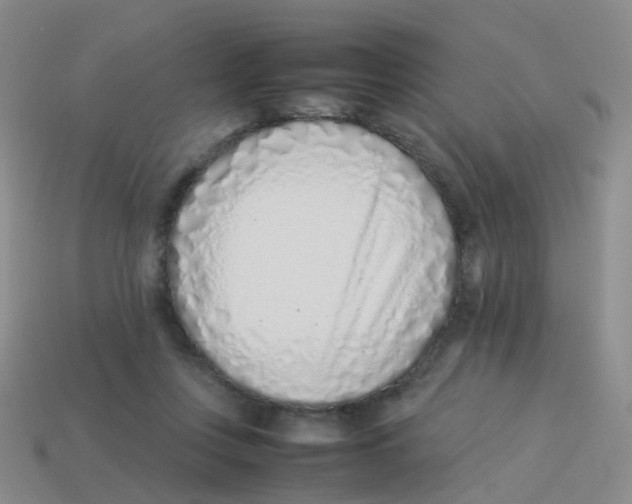 X0000113540359200910161417
