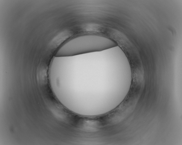 X0000113540360200910161417