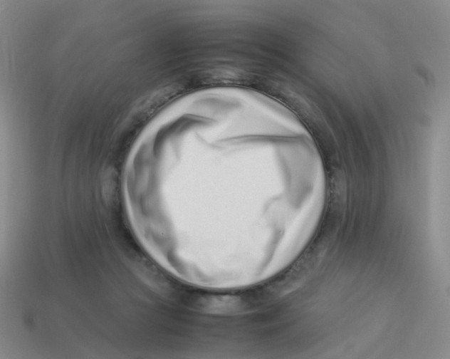 X0000113540361200910161417