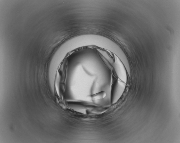 X0000113540362200910161417