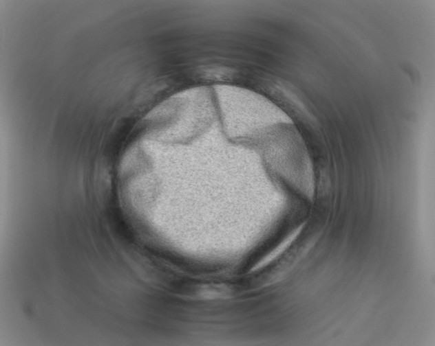 X0000113540363200910161417
