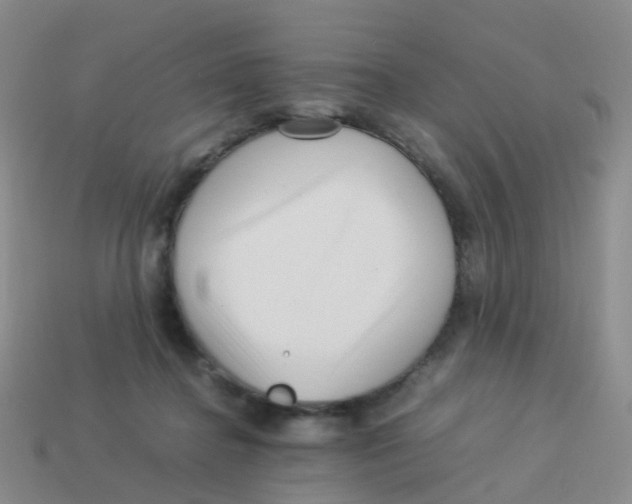 X0000113540364200910161417