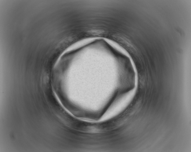 X0000113540365200910161417