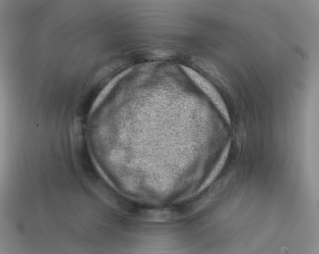 X0000113540366200910161417