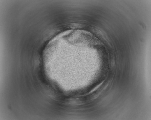 X0000113540367200910161417