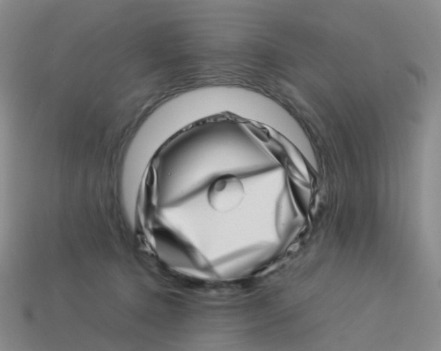 X0000113540368200910161417