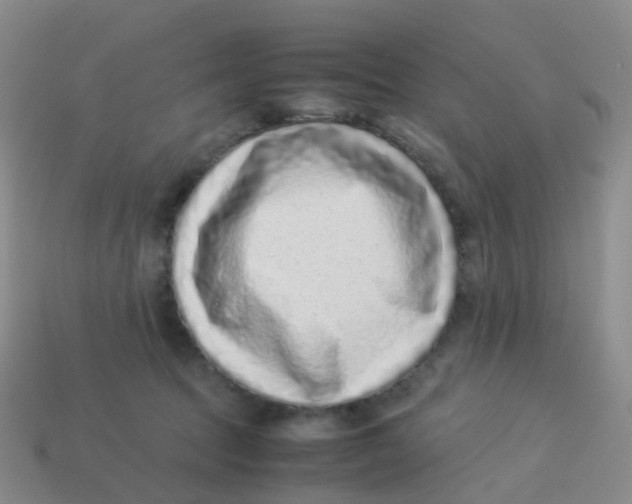 X0000113540369200910161417