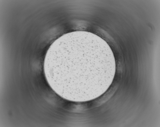 X0000113540370200910161417