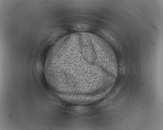 X0000113540371200910161417