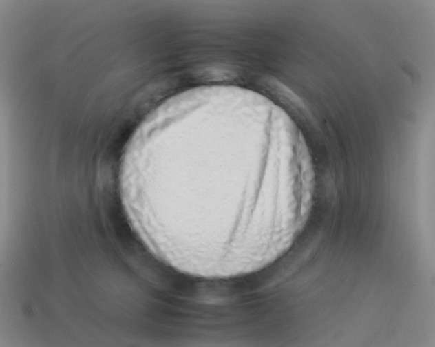 X0000113540373200910161417