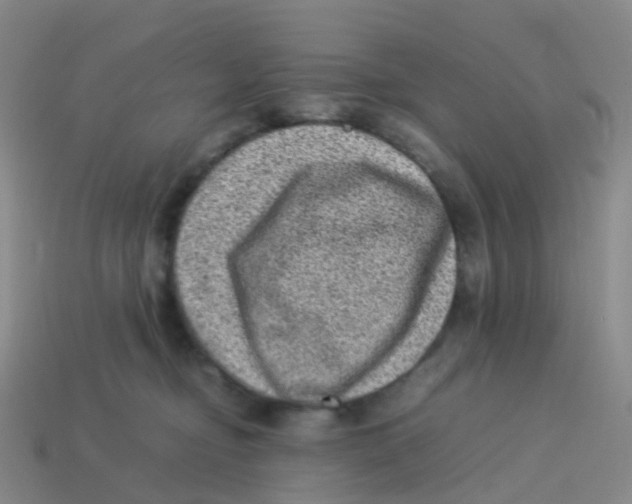 X0000113540374200910161417