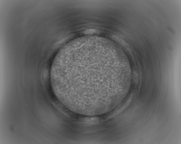 X0000113540375200910161417