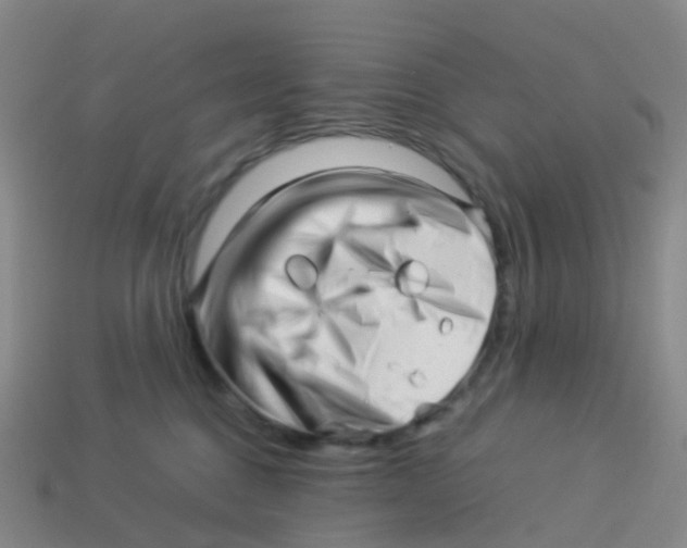 X0000113540376200910161417