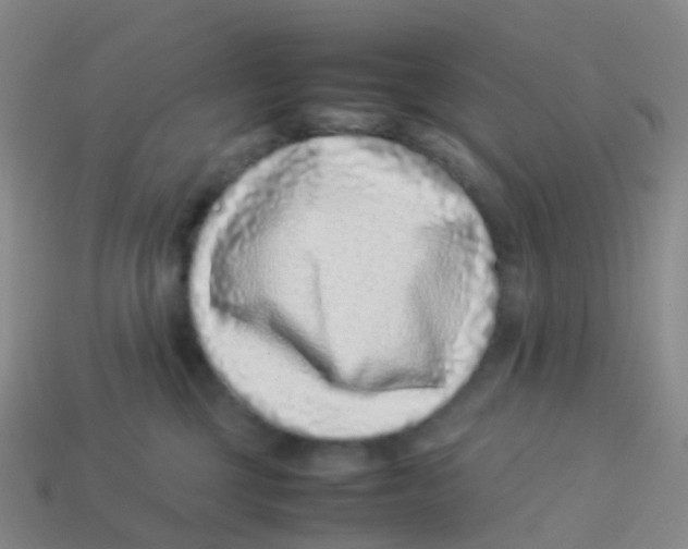 X0000113540377200910161417