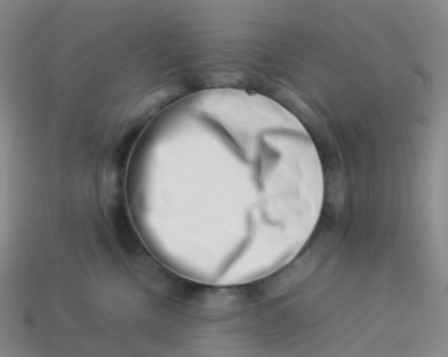 X0000113540378200910161417