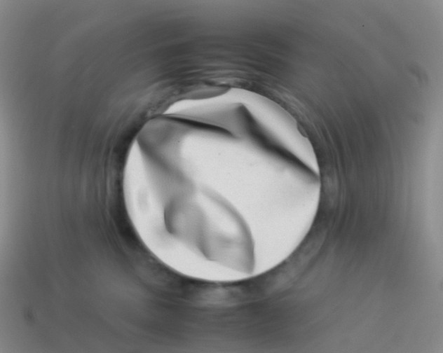 X0000113540379200910161417