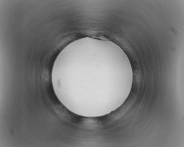 X0000113540380200910161417