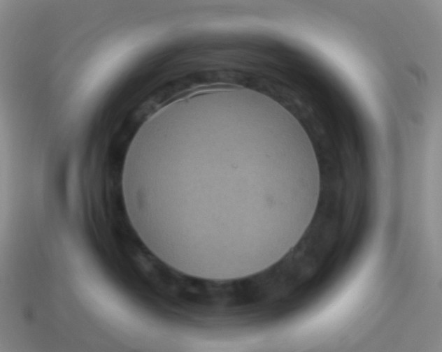 X0000113540382200910161417