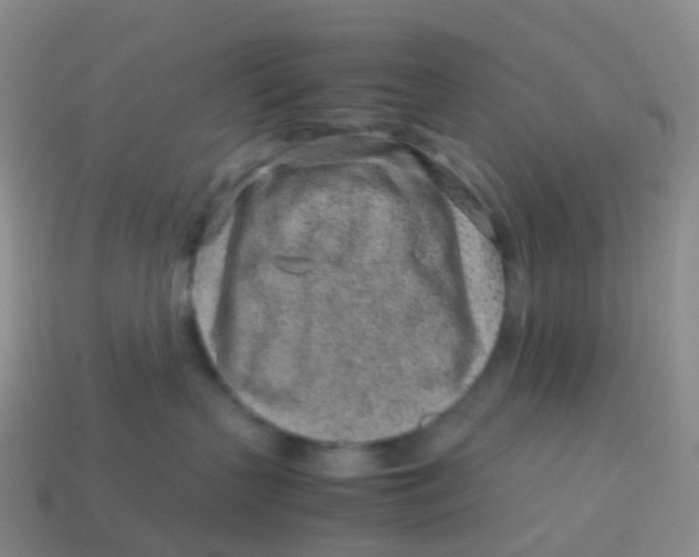 X0000113540383200910161417