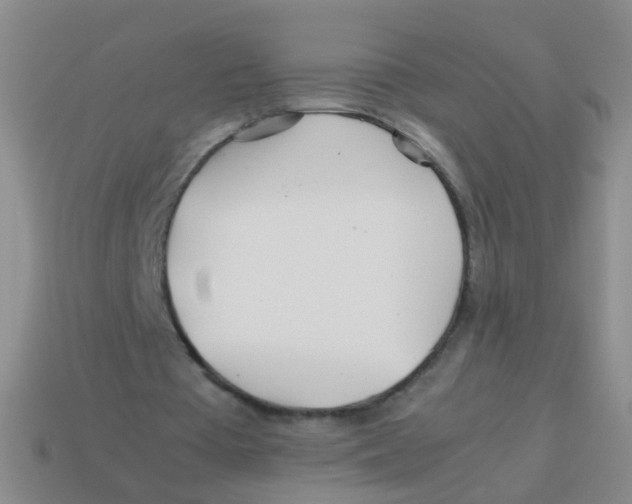 X0000113540385200910161417