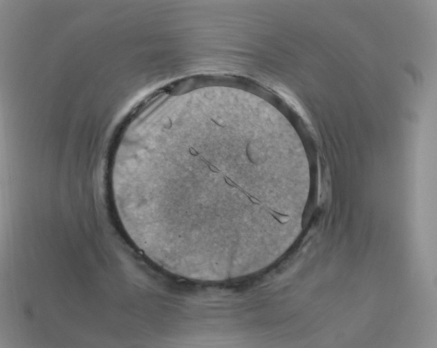 X0000113540387200910161417