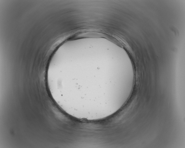 X0000113540389200910161417