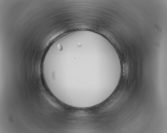 X0000113540390200910161416