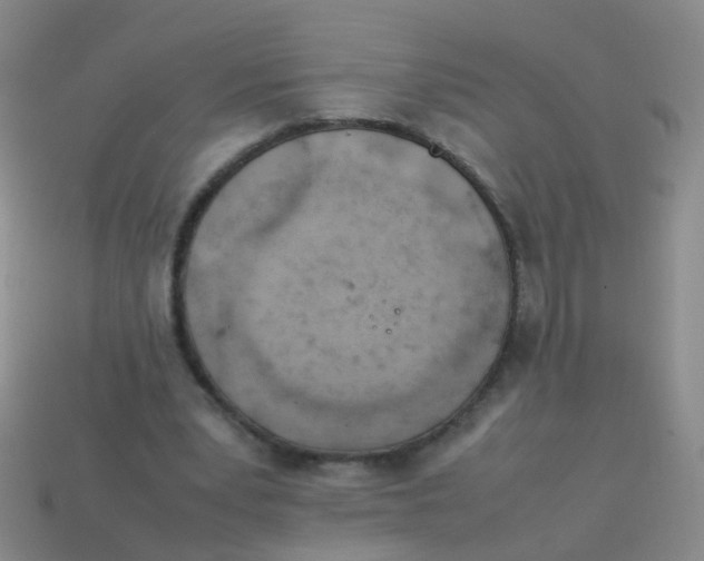X0000113540391200910161416