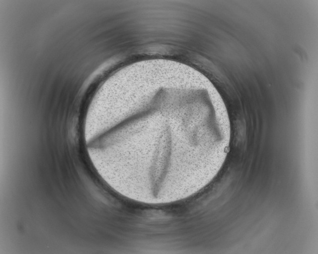 X0000113540392200910161416