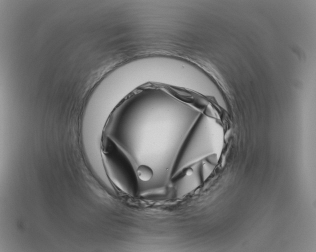 X0000113540393200910161416