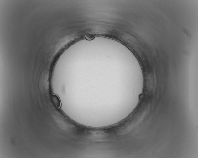 X0000113540395200910161416