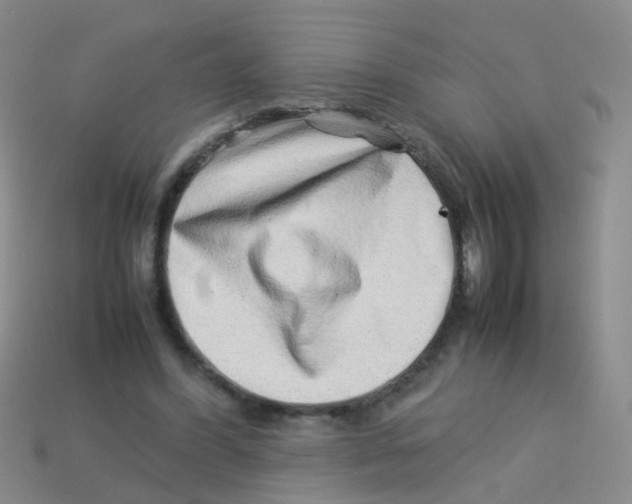X0000113540396200910161416