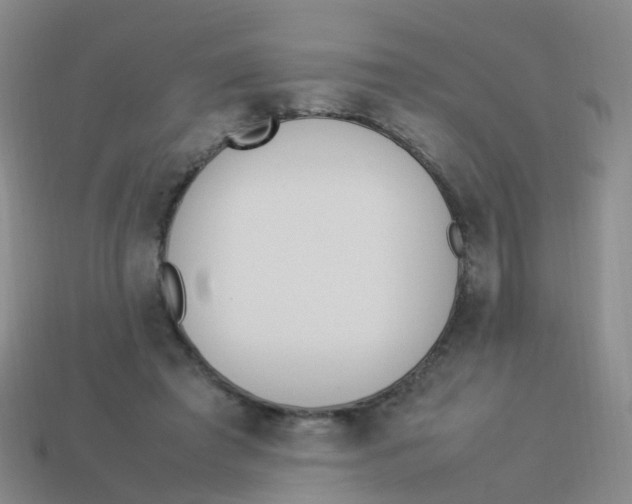 X0000113540401200910161416