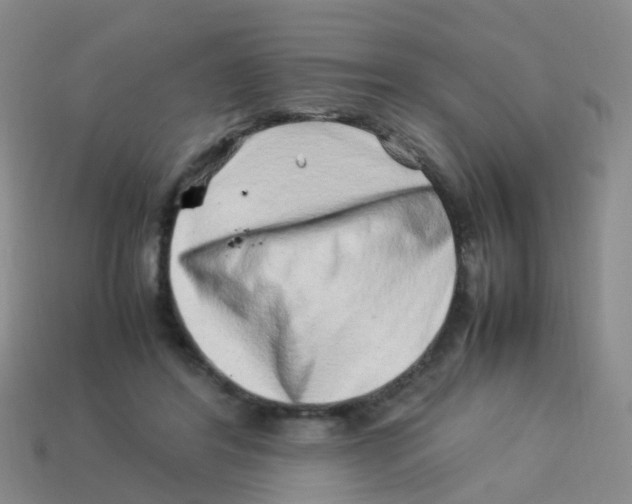 X0000113540404200910161416