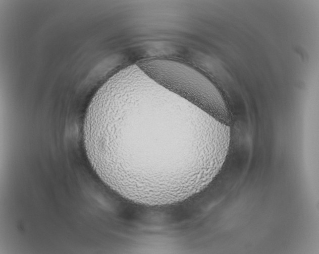 X0000113540405200910161416