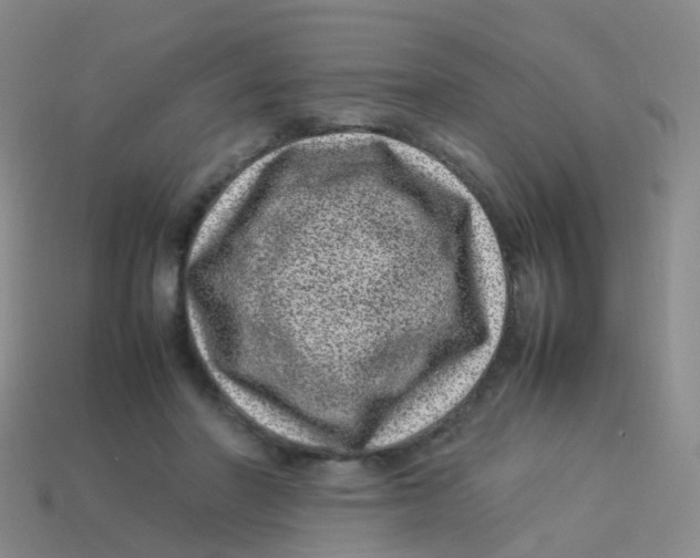 X0000113540406200910161416